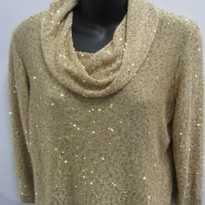 Ladies Blouse Sweater